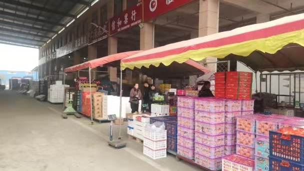 山東銀田農(nóng)貿(mào)城貨足價(jià)穩(wěn)歡慶元旦